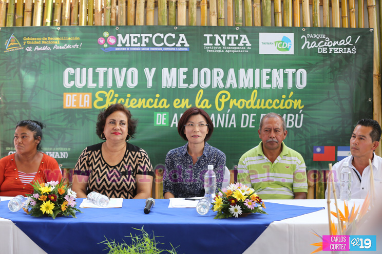 Nicaragua y Taiw&aacute;n promueven proyecto de cultivo y mejoramiento de producci&oacute;n de artesan&iacute;as de bamb&uacute;